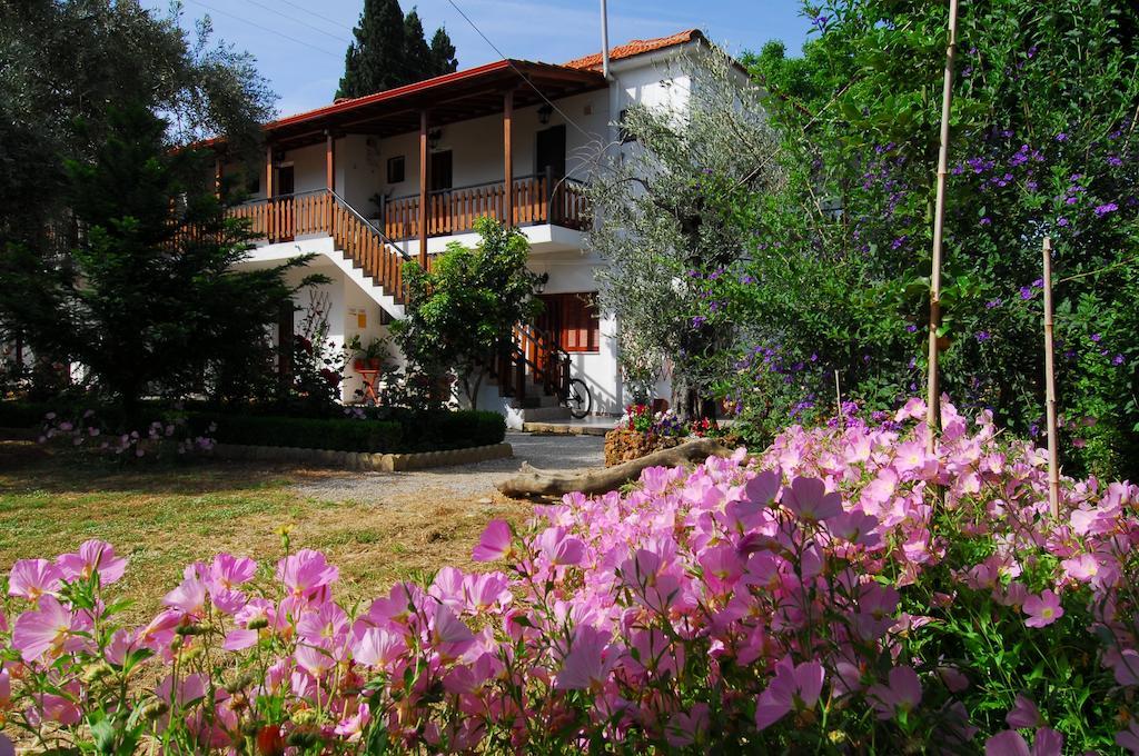Apartment Vergonis *