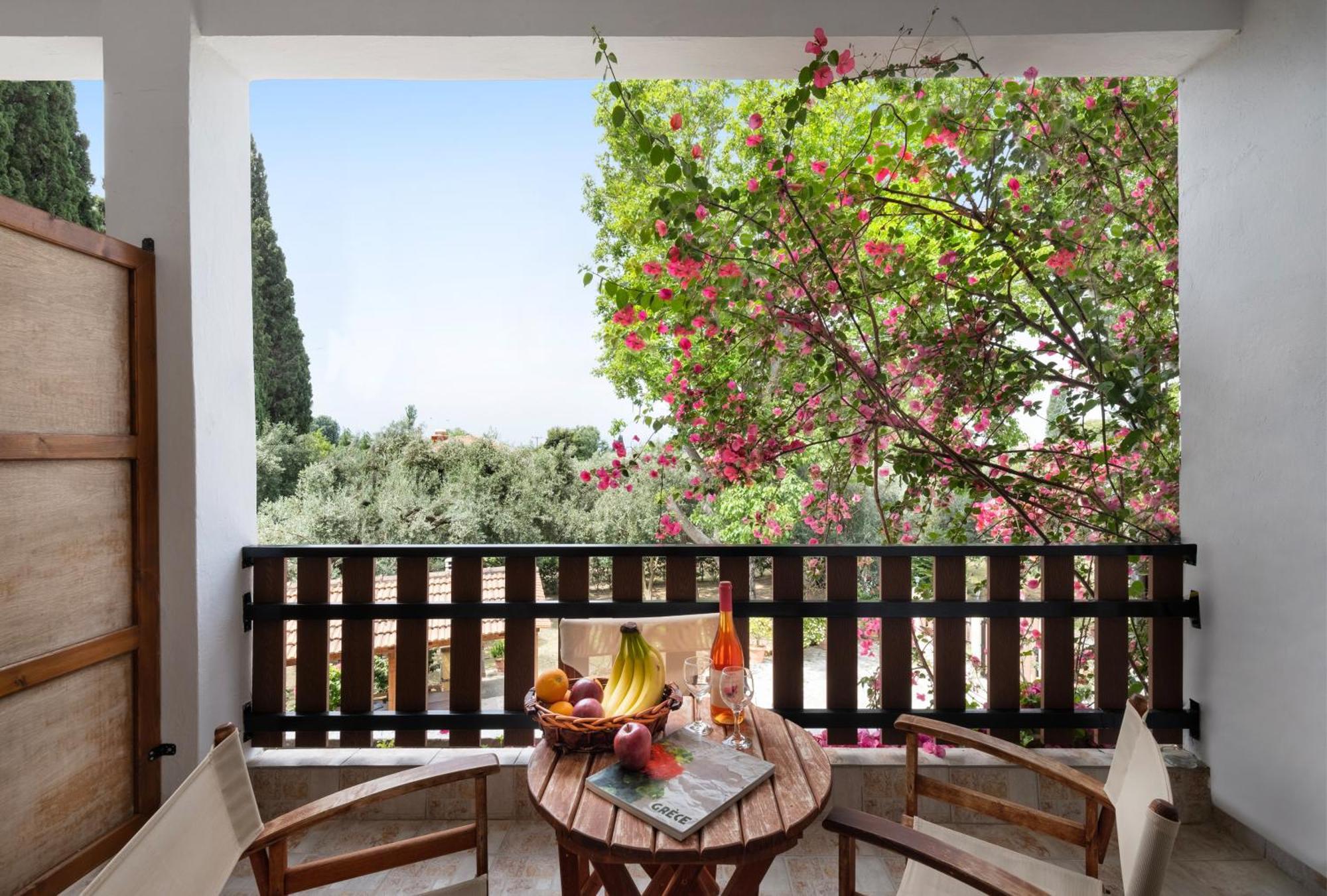 Apartment Vergonis Koropi