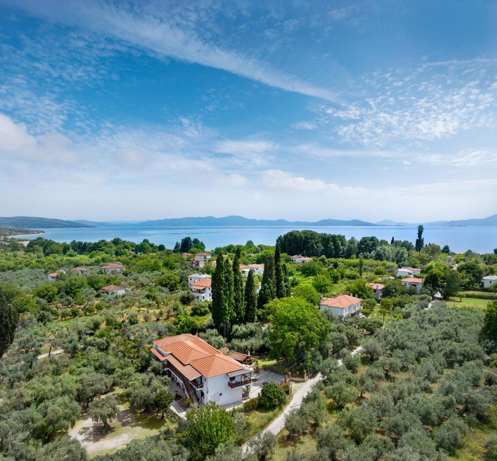 Vergonis Koropi