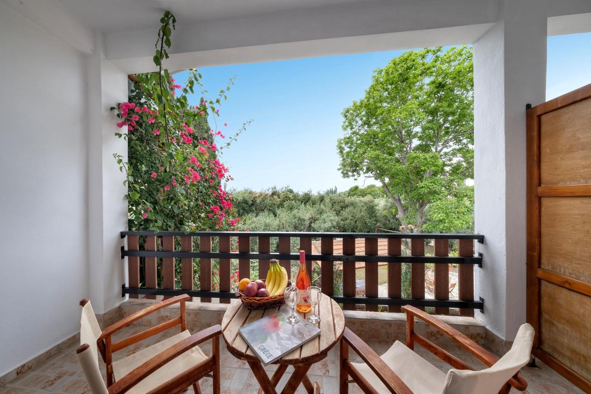 Apartment Vergonis *