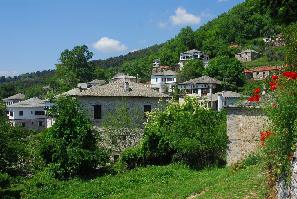 Vergonis Koropi