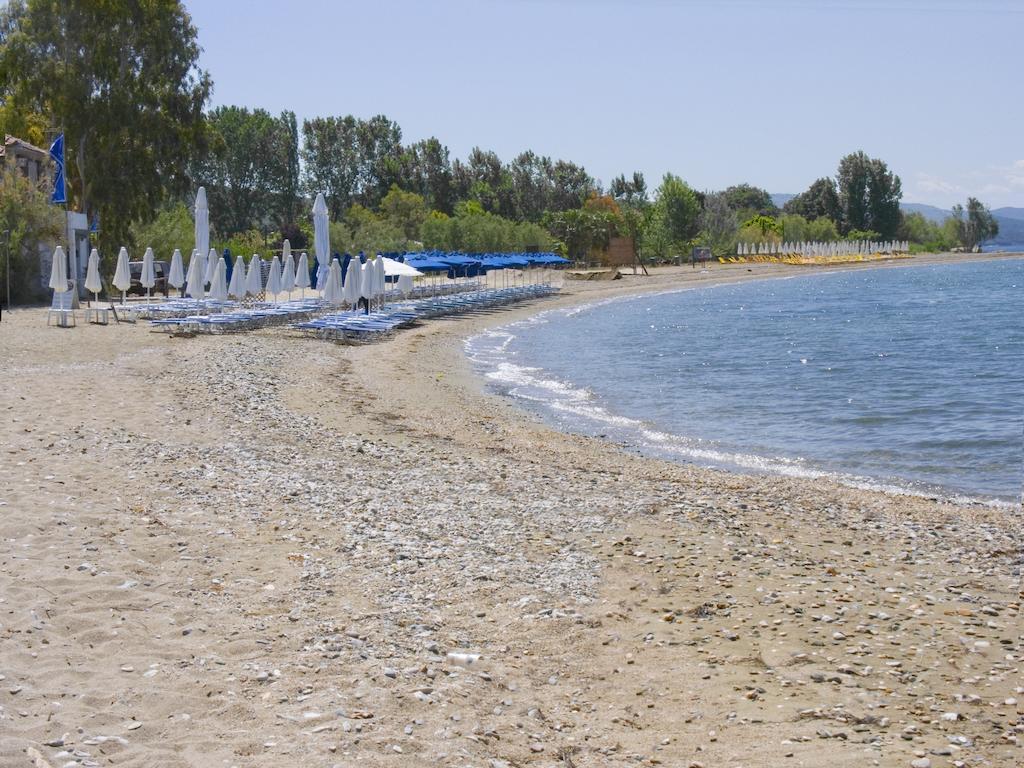 Vergonis Koropi