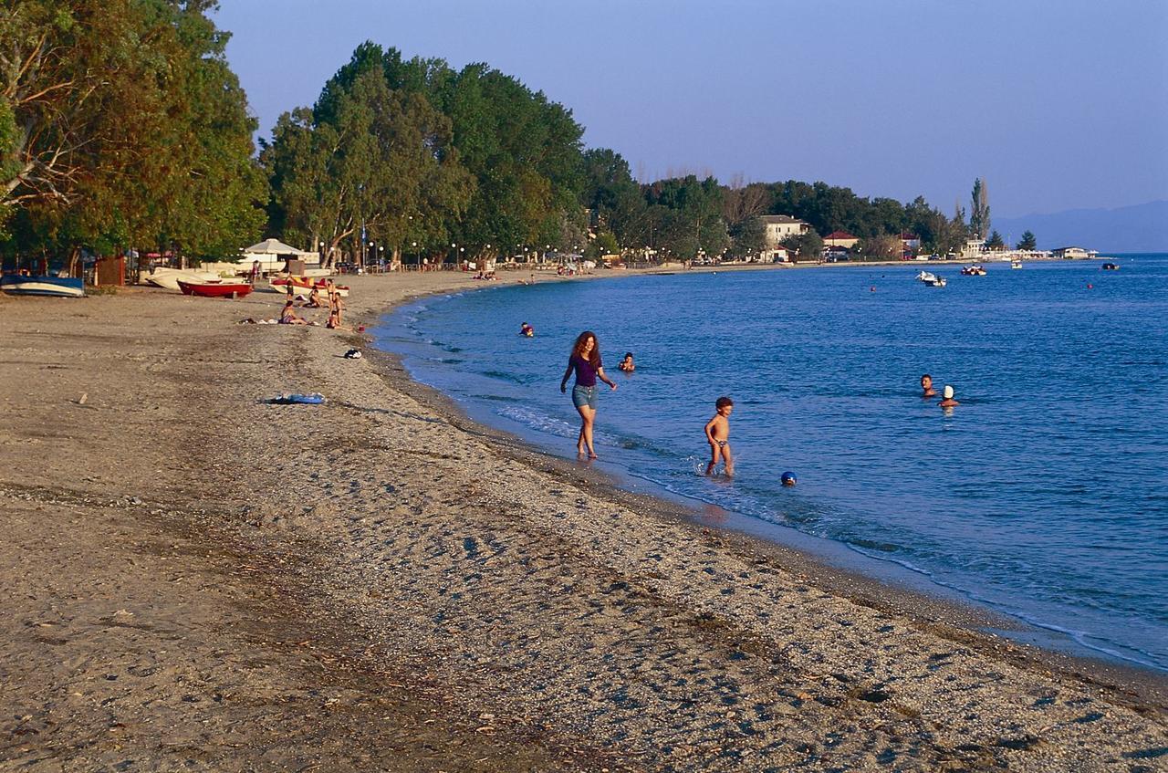 Vergonis * Koropi